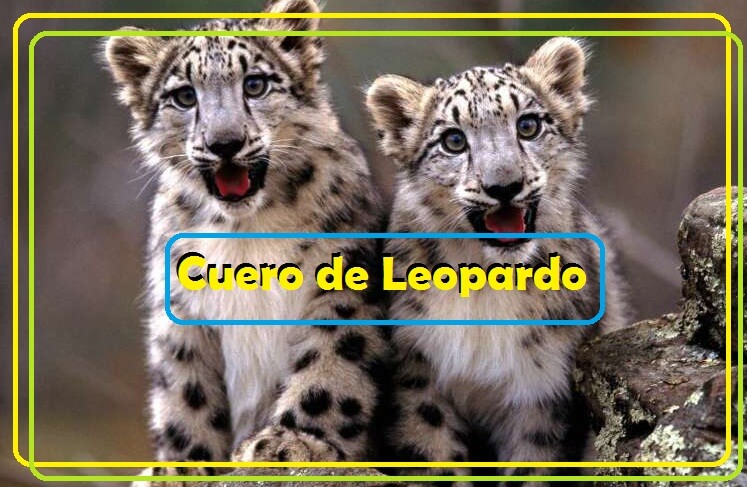 cuero de leopardo