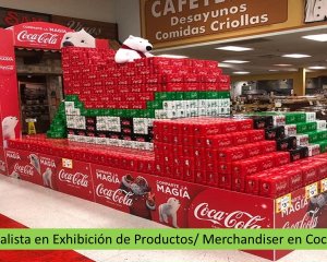 Especialista en Exhibición de Productos